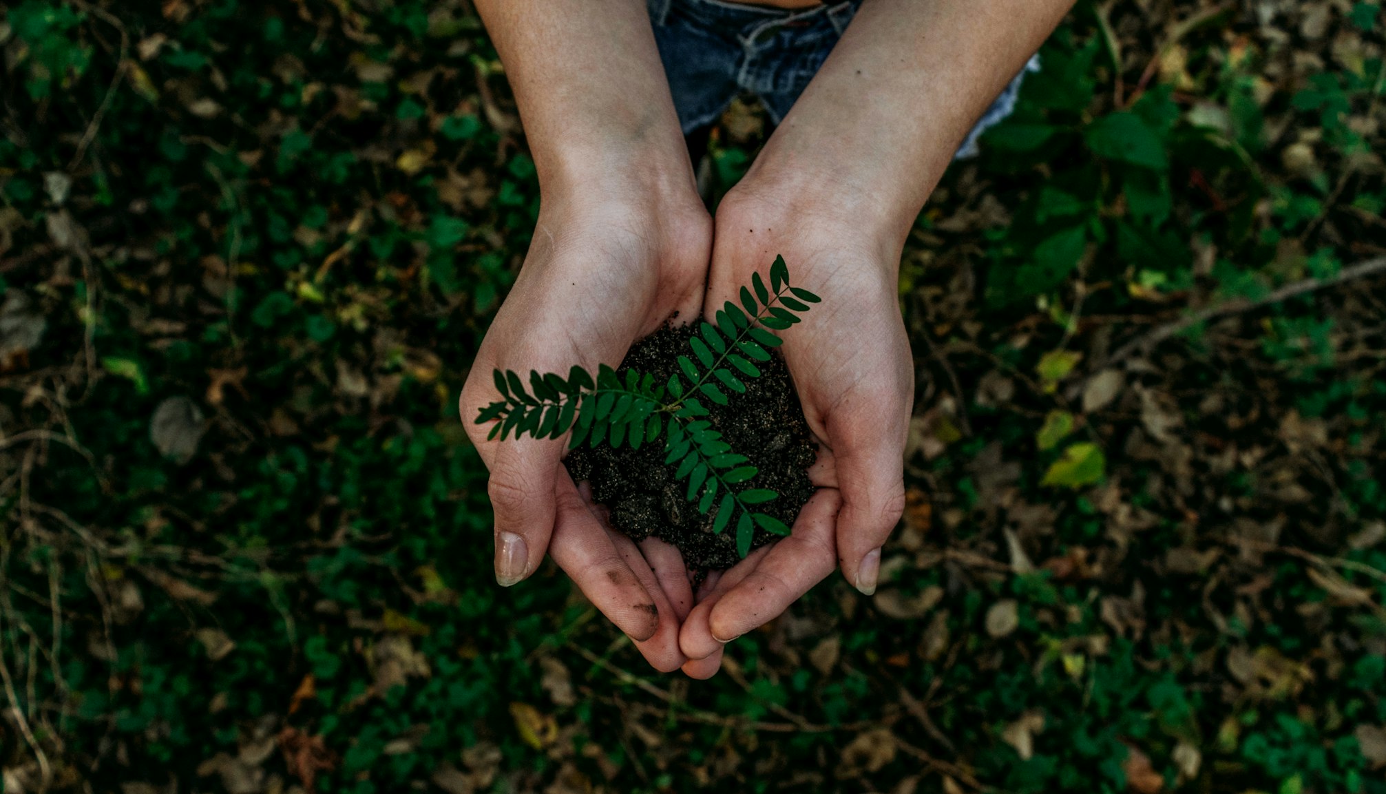 EcoSmart Branding